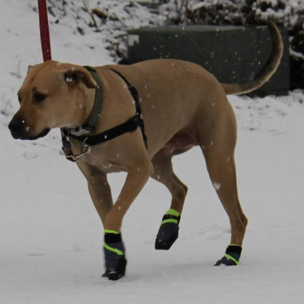 Healers Urban Walkers Reflective Dog Booties, Paw Protection, Non Slip Sole